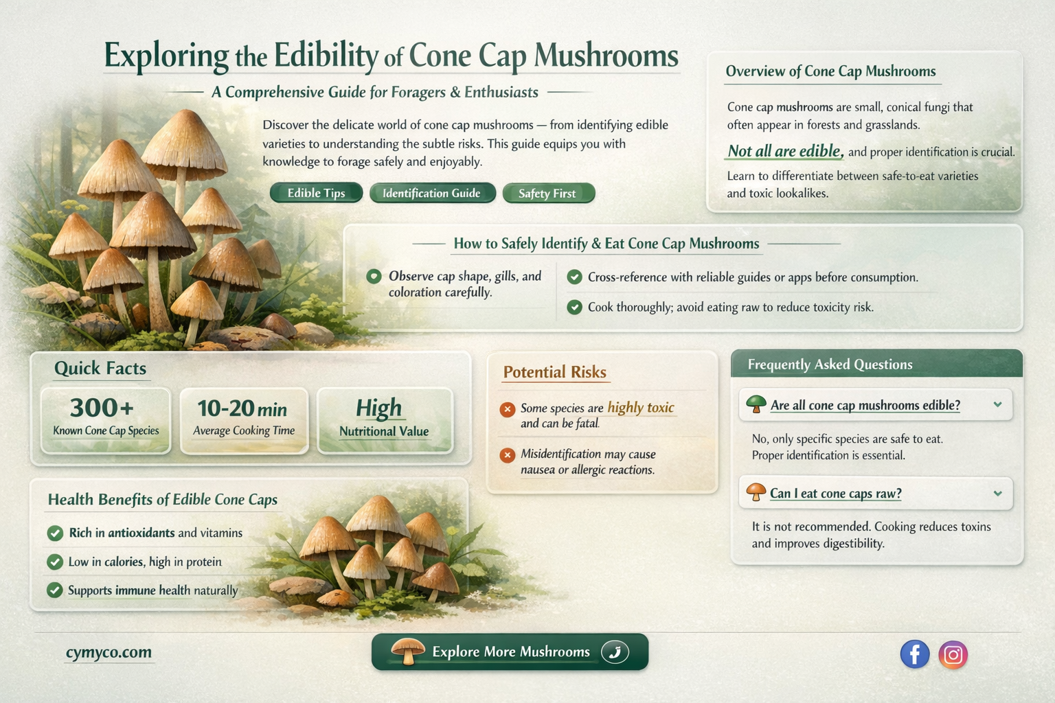 are cone cap mushrooms poisonous