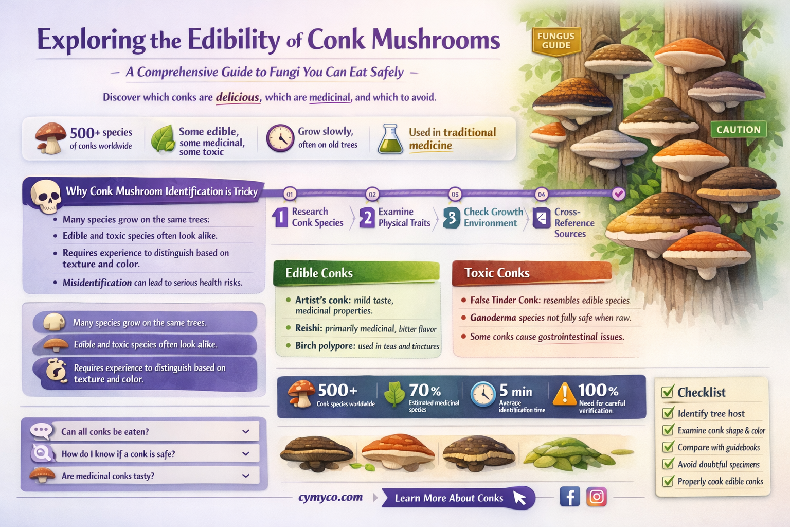 are conk mushrooms edible
