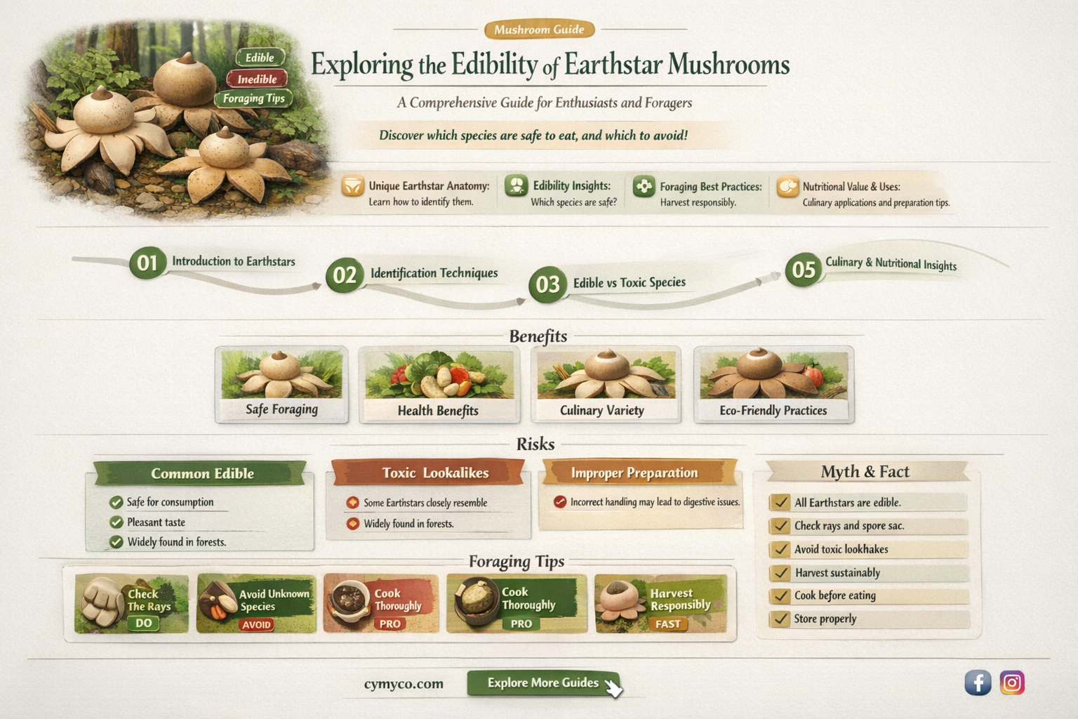 are earthstar mushrooms poisonous
