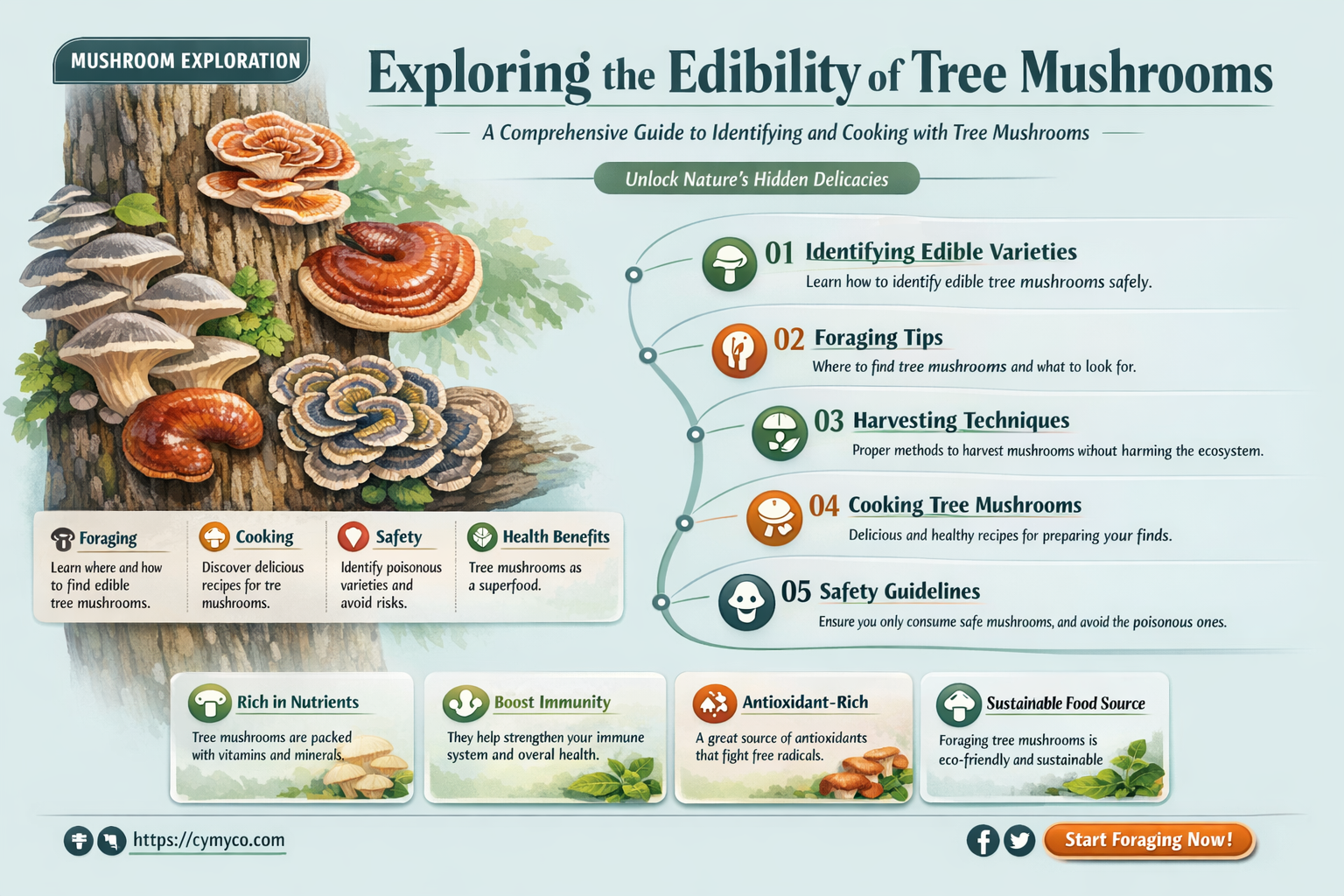 are all tree mushrooms edible