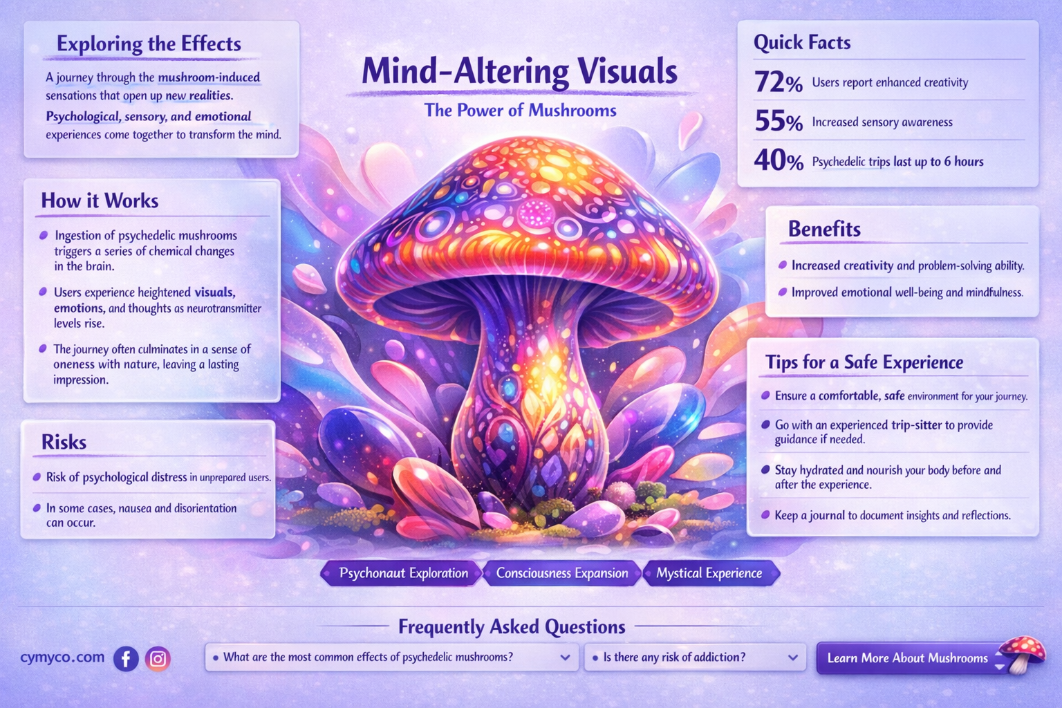 what will mushrooms make me feel like