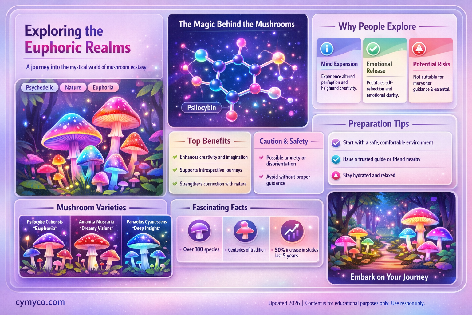 what feeling do you get when you take mushroom ecstasy