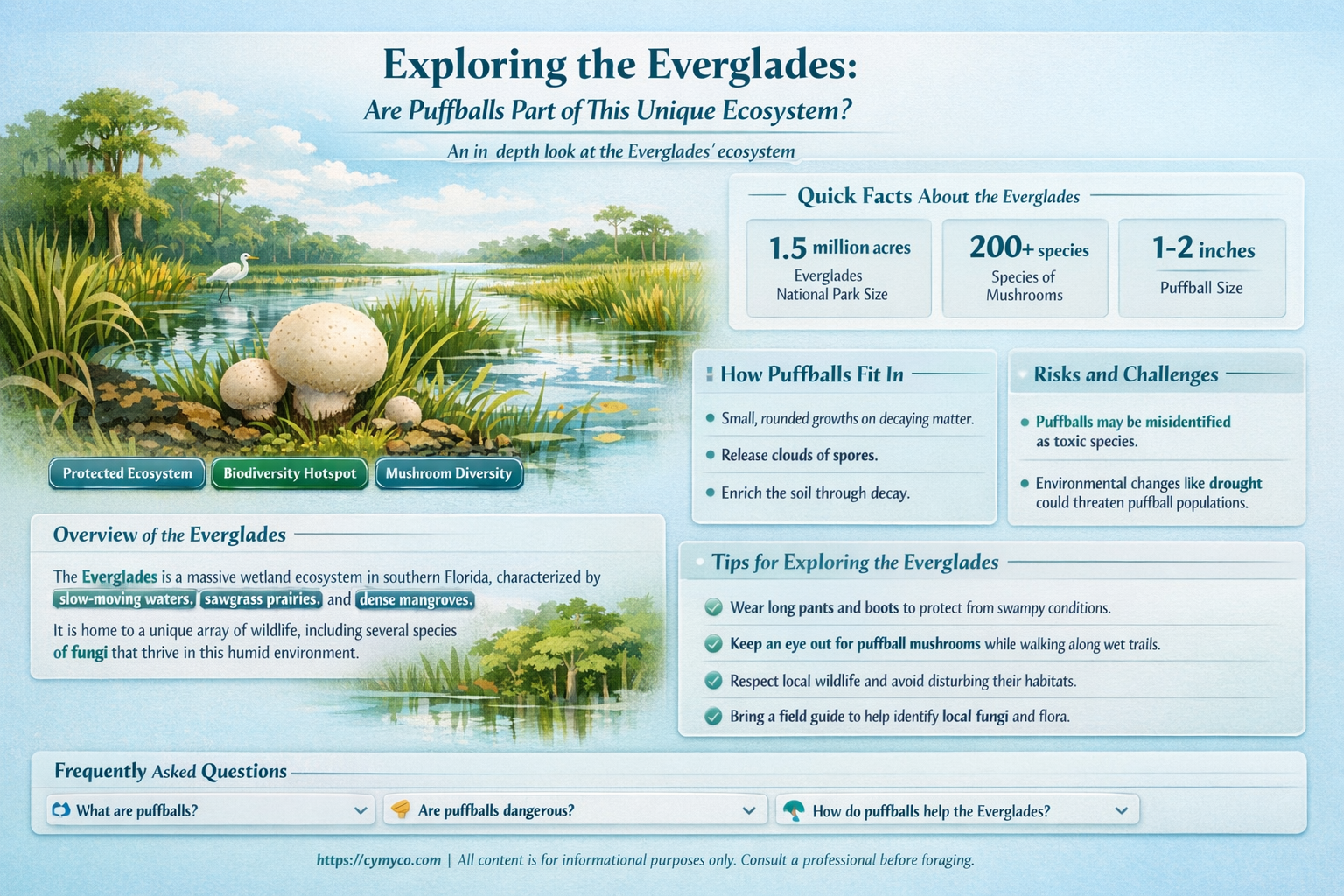 are puffballs in the everglades