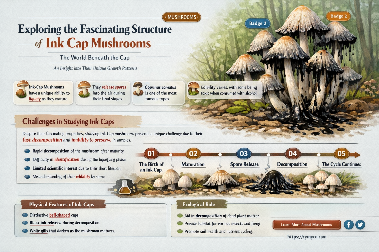 does ink cap mushroom structure