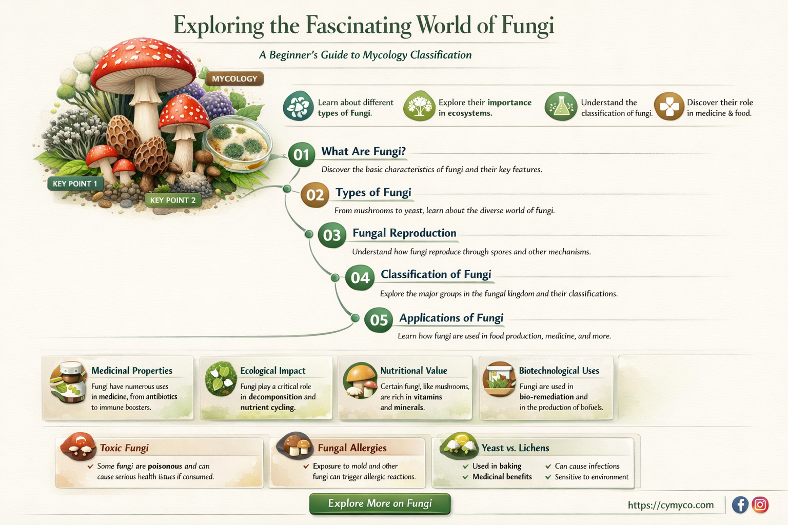 how to classify introductory mycology
