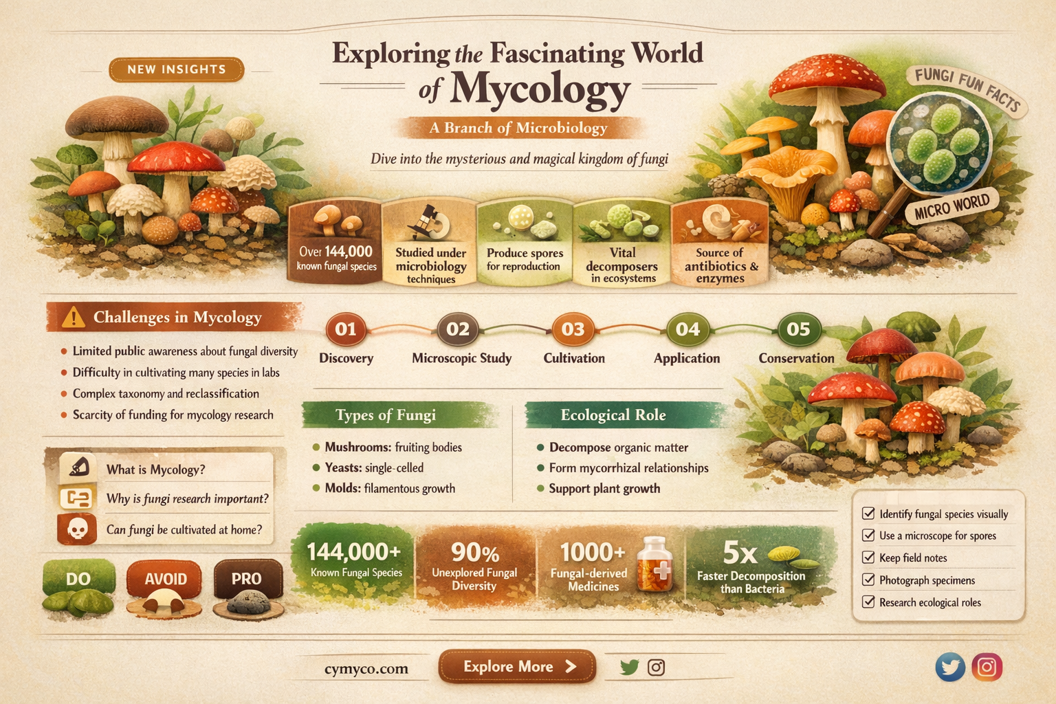 is mycology part of microbiology