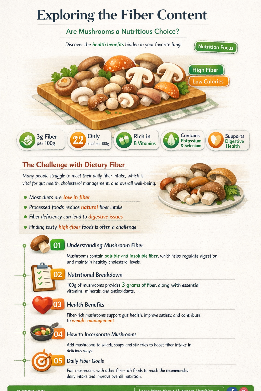 are mushrooms a good source of fiber