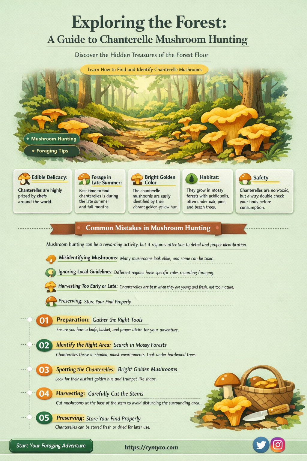 where to find chanterelle mushrooms the forest