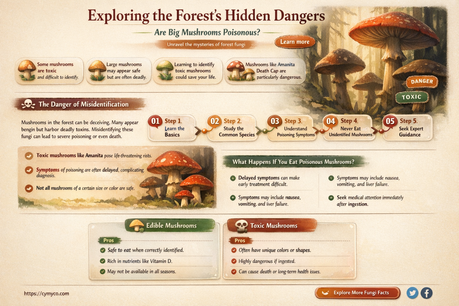 are big mushrooms in forest poisonous