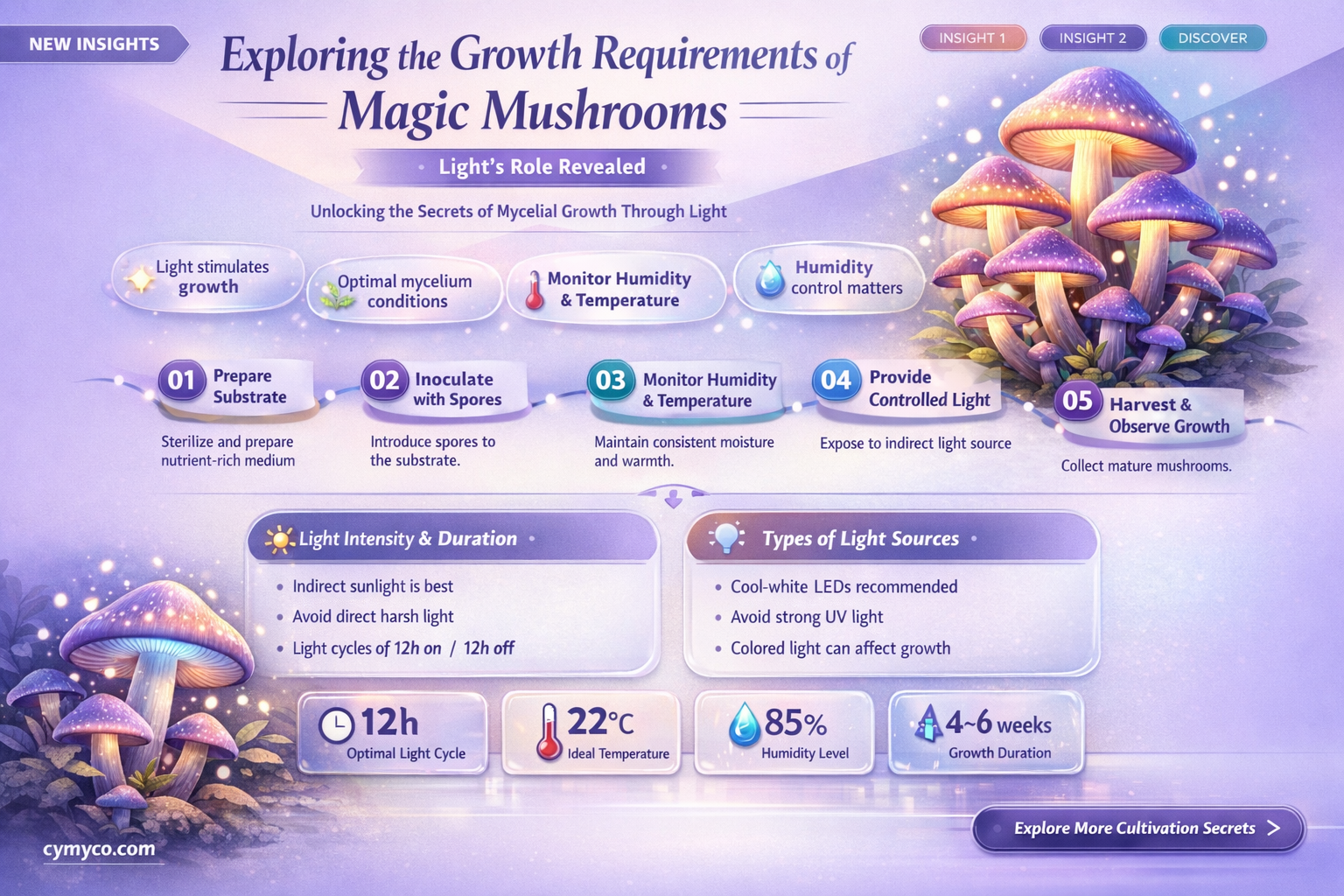 do magic mushrooms need light to grow