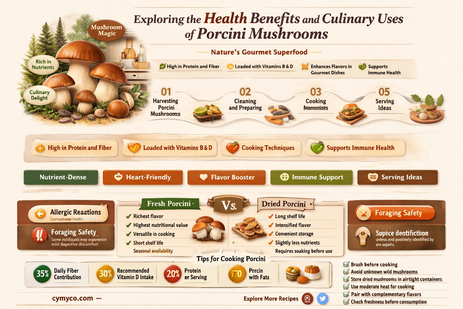 what are porcini mushrooms good for