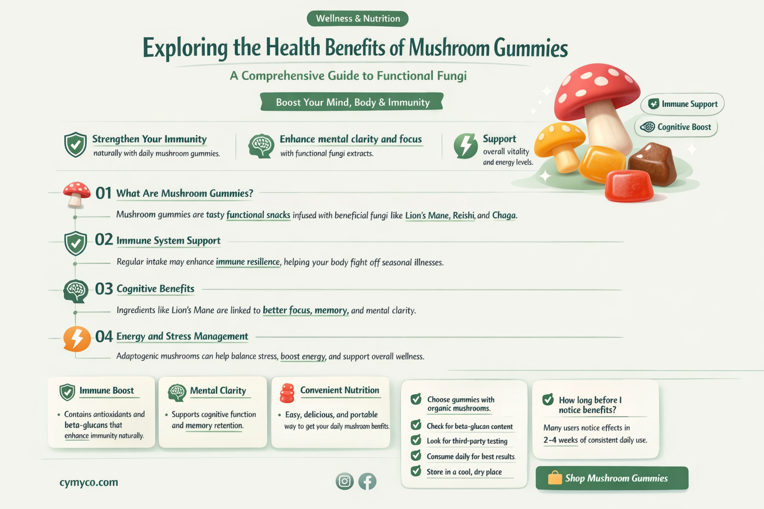 what are mushroom gummies good for