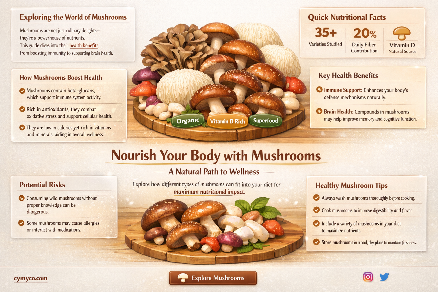 are mushroom good for you