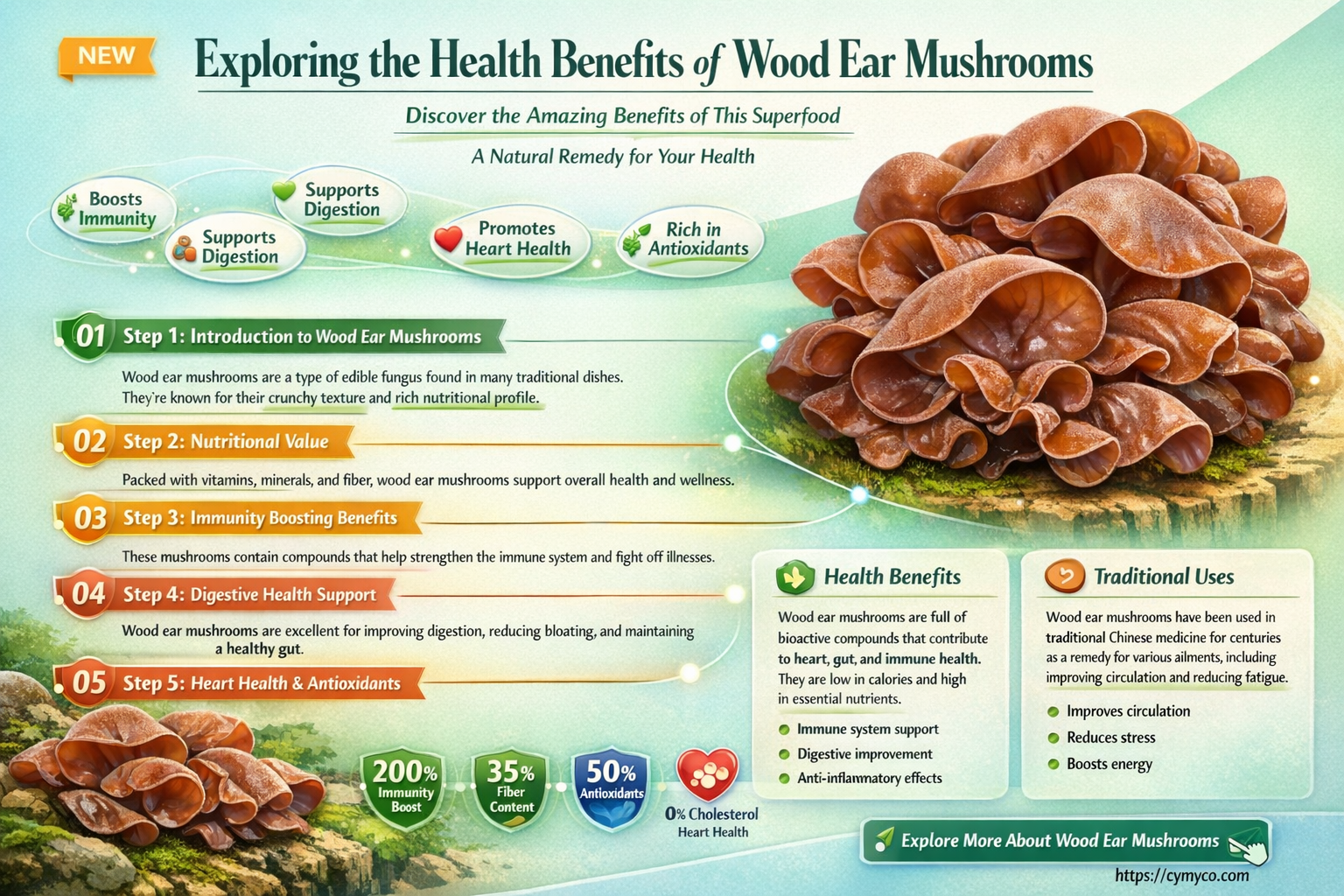 are wood ear mushrooms good for you