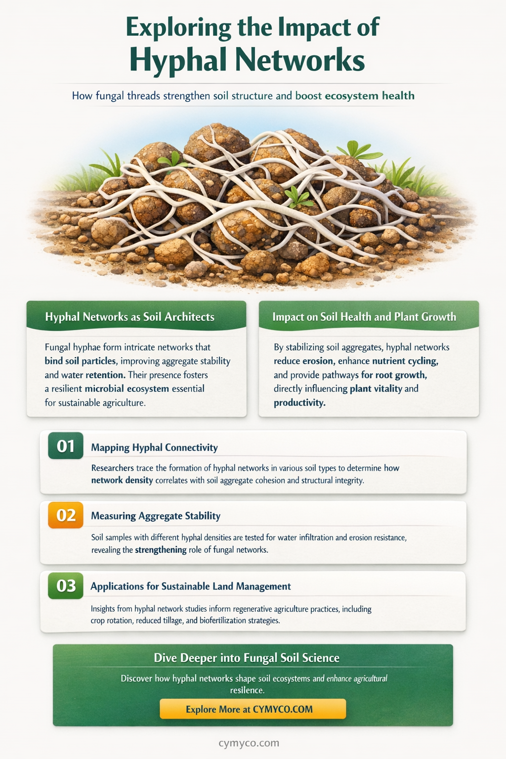 do networks of hyphae affect soil aggregate