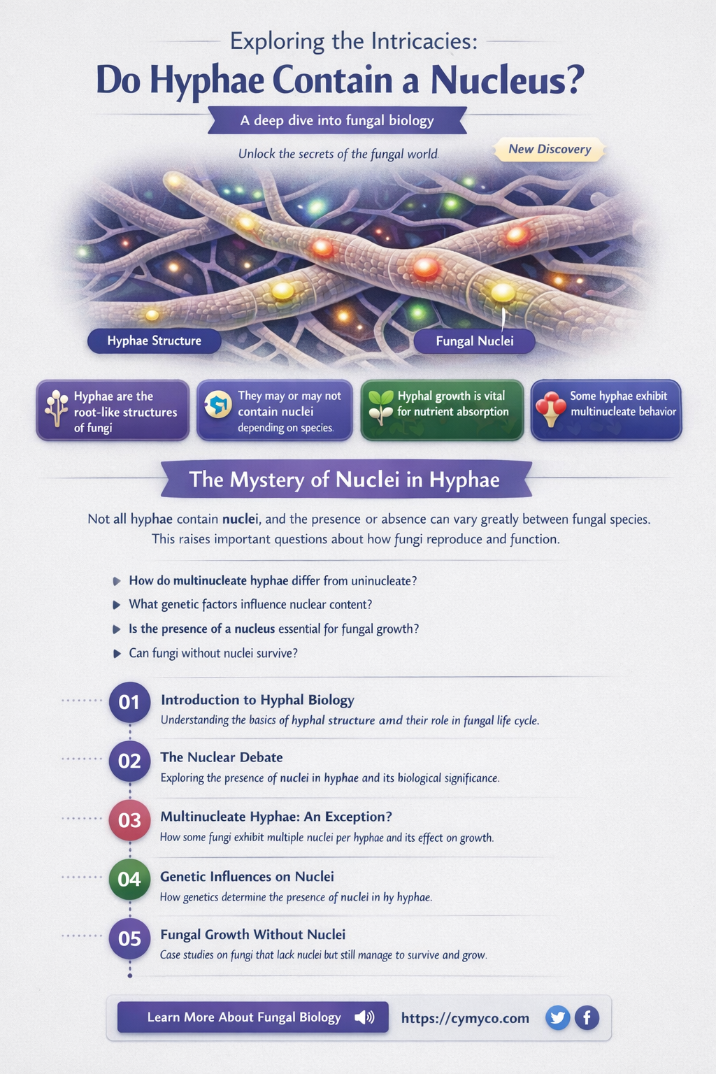 do hyphae have a nucleus