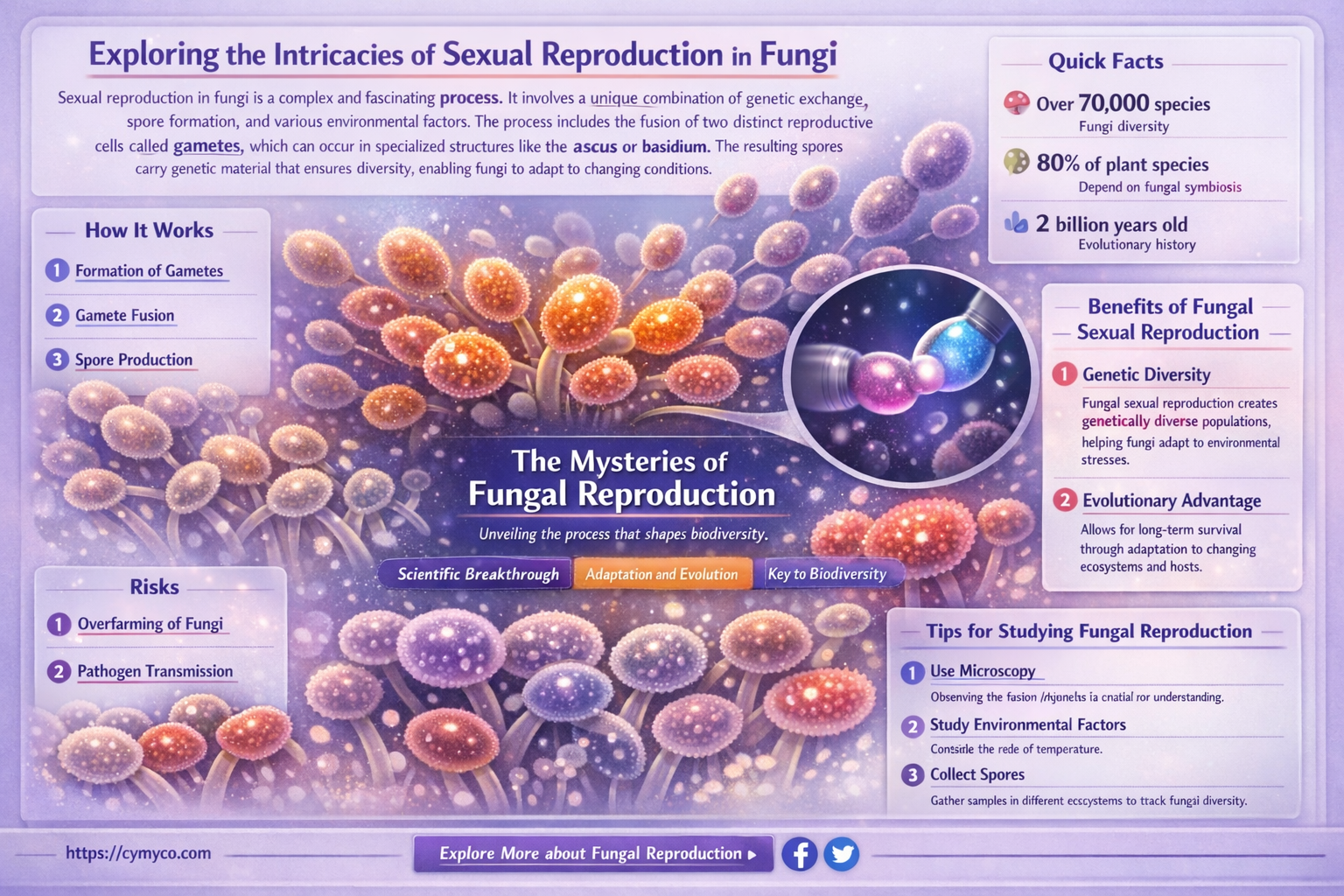 what sexual processes in fungi generate genetic variation