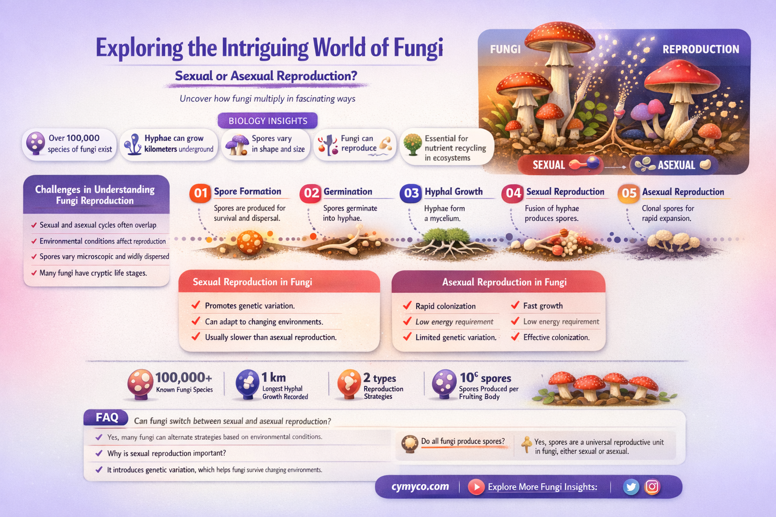 is fungi sexual or asexual