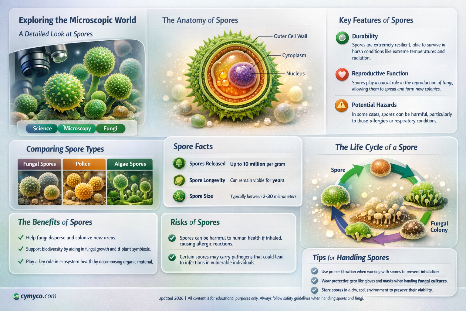 what does a spore look like