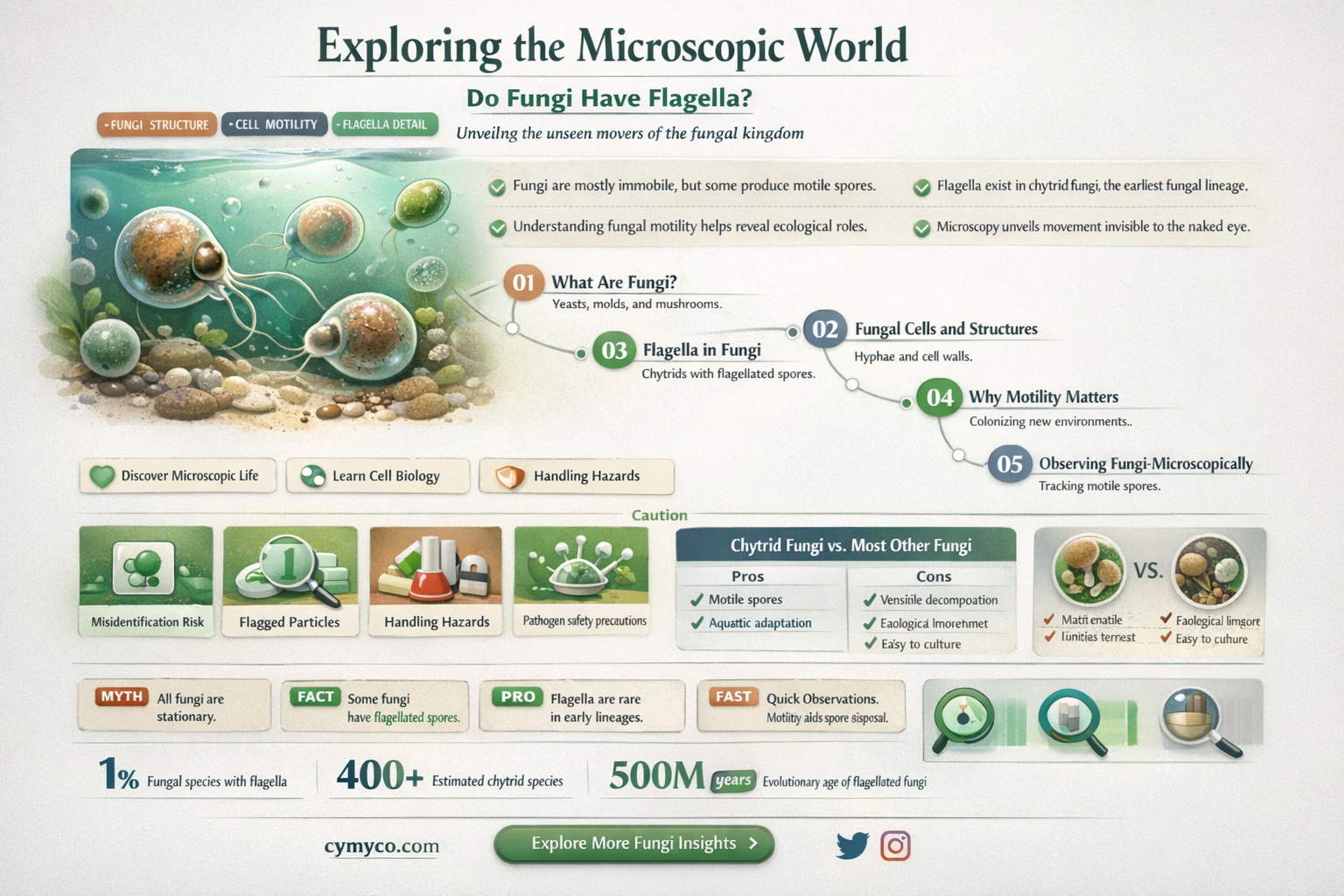 do fungi have flagella