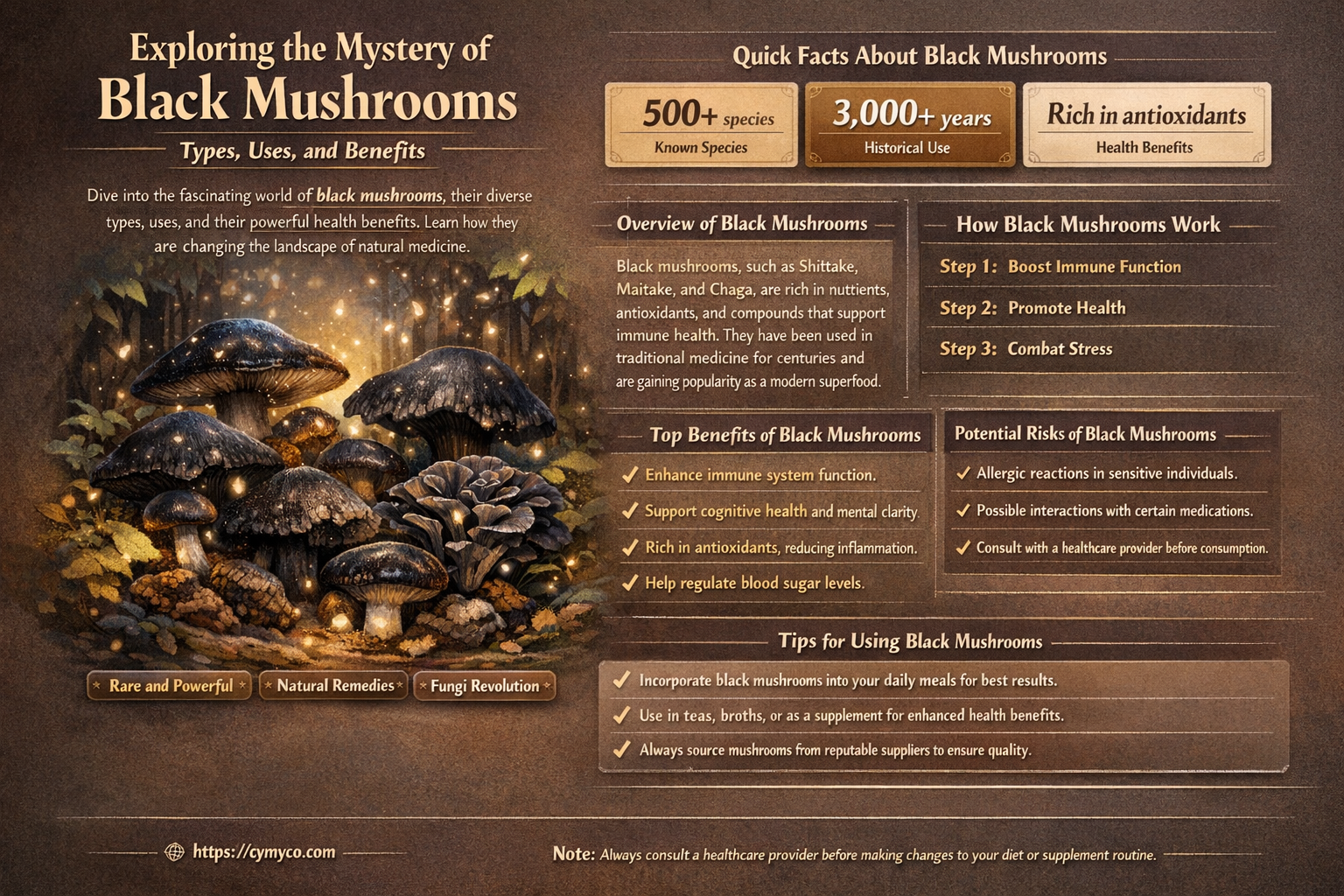 what are black mushrooms