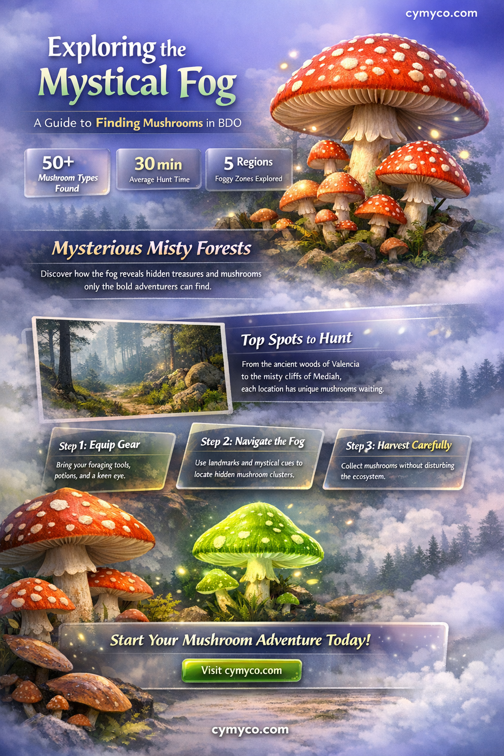where to find fog mushrooms bdo