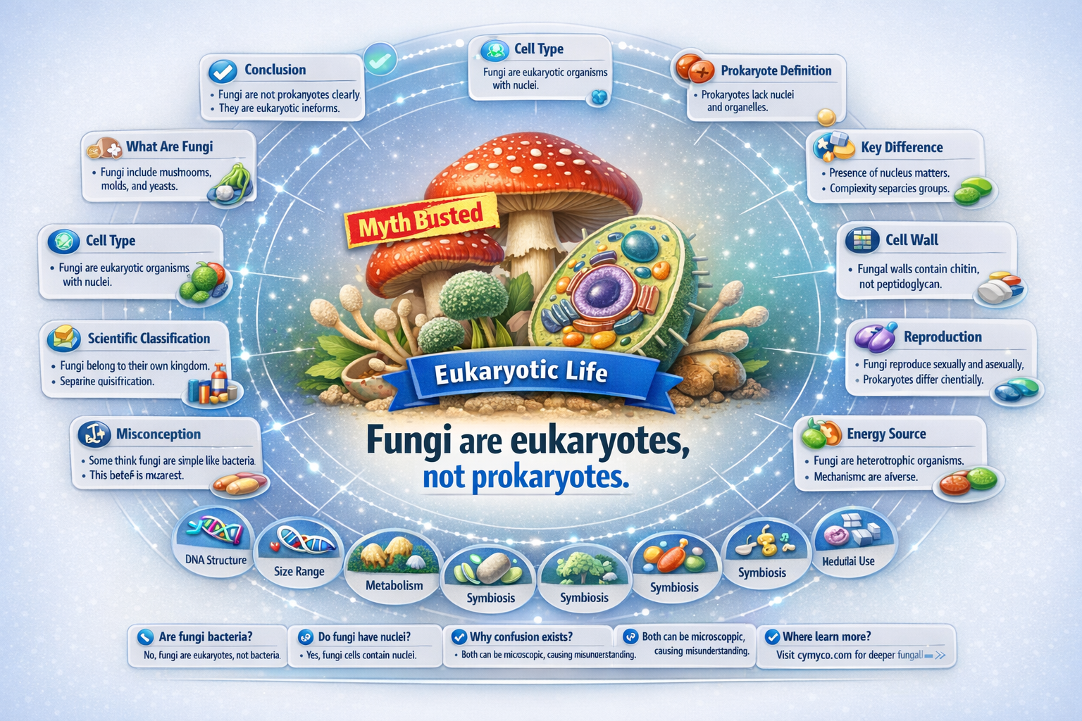 are all fungi prokaryotes