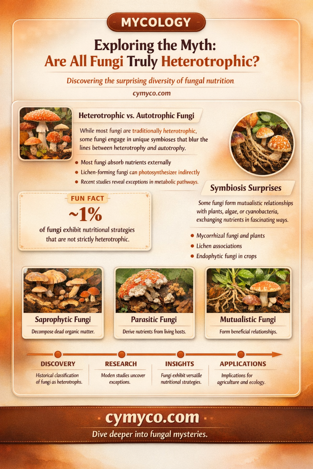 are all fungi heterotrophic