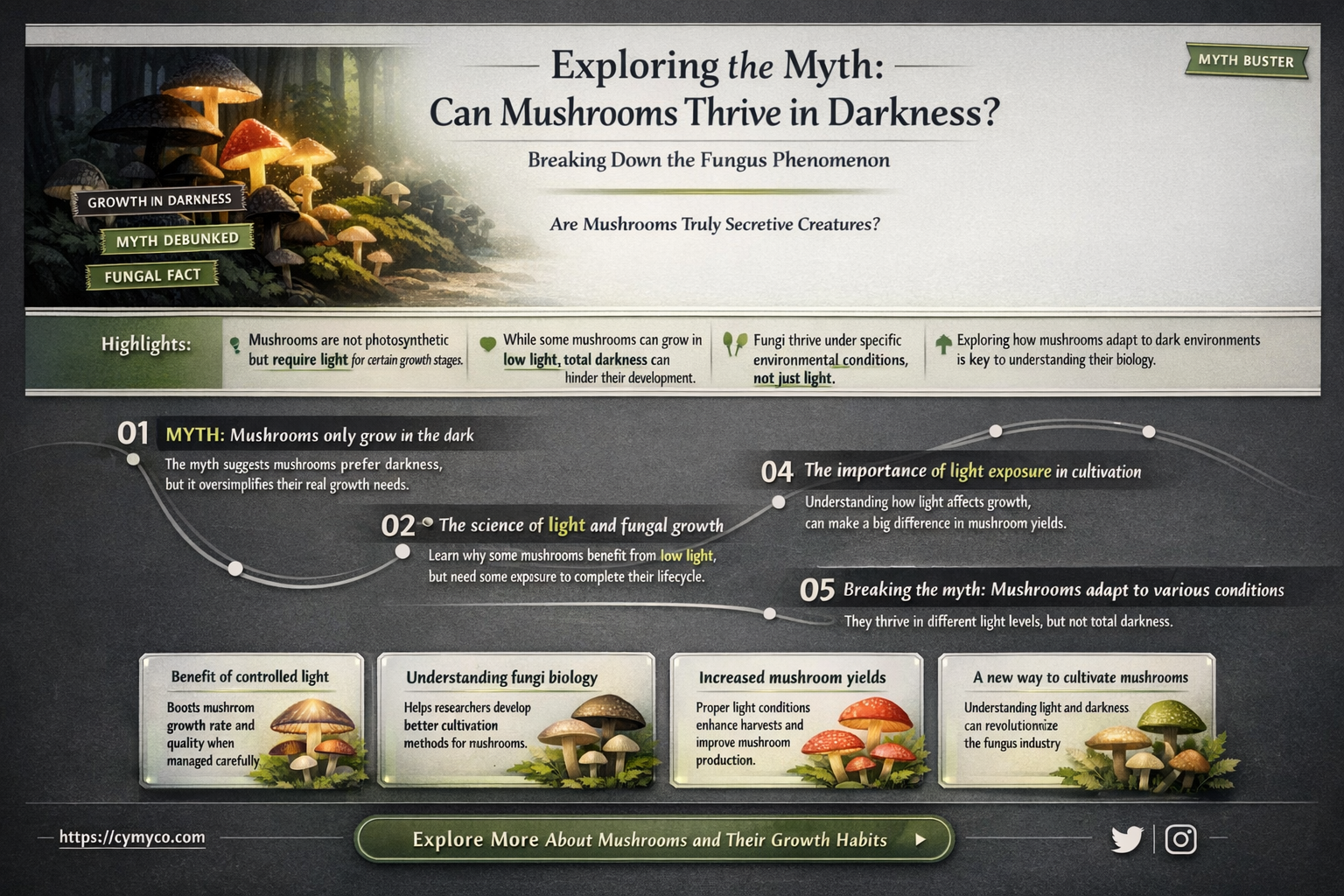 do mushrooms grow in the dark