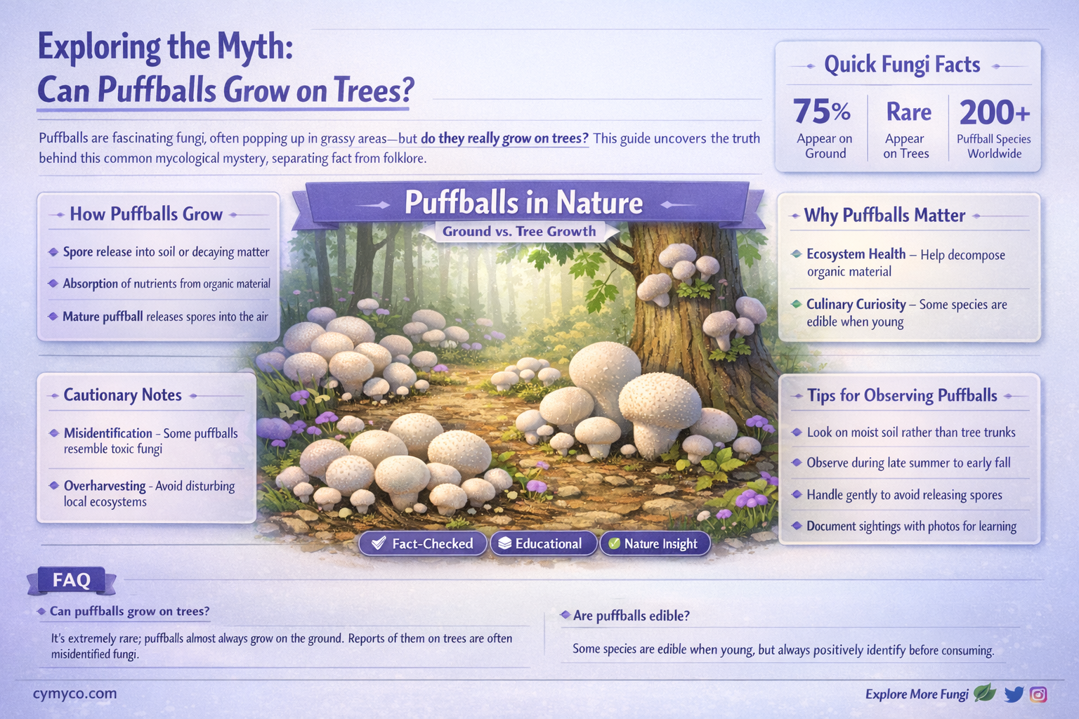 can puffballs grow on trees