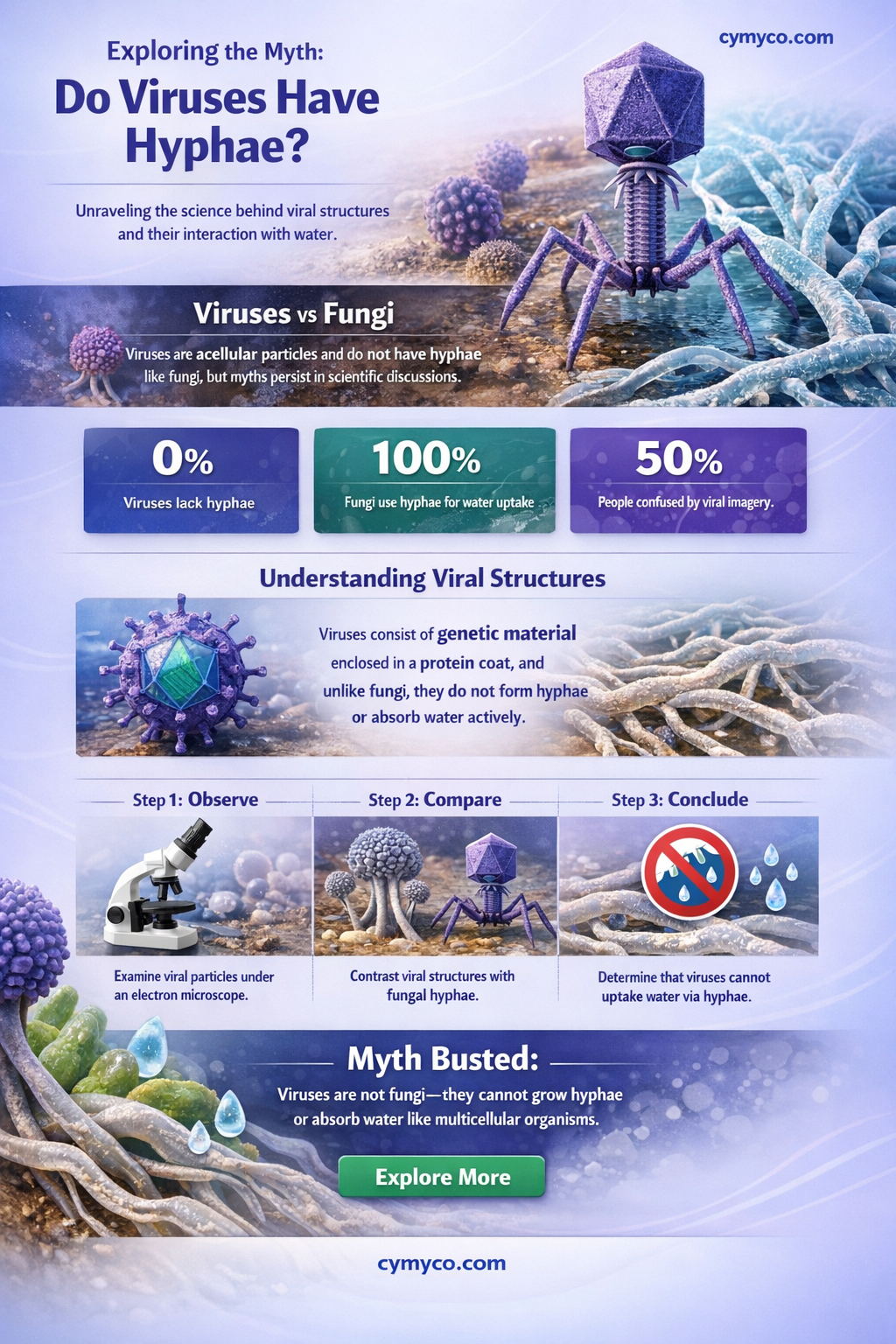 do viruses have hyphae that help them take up water