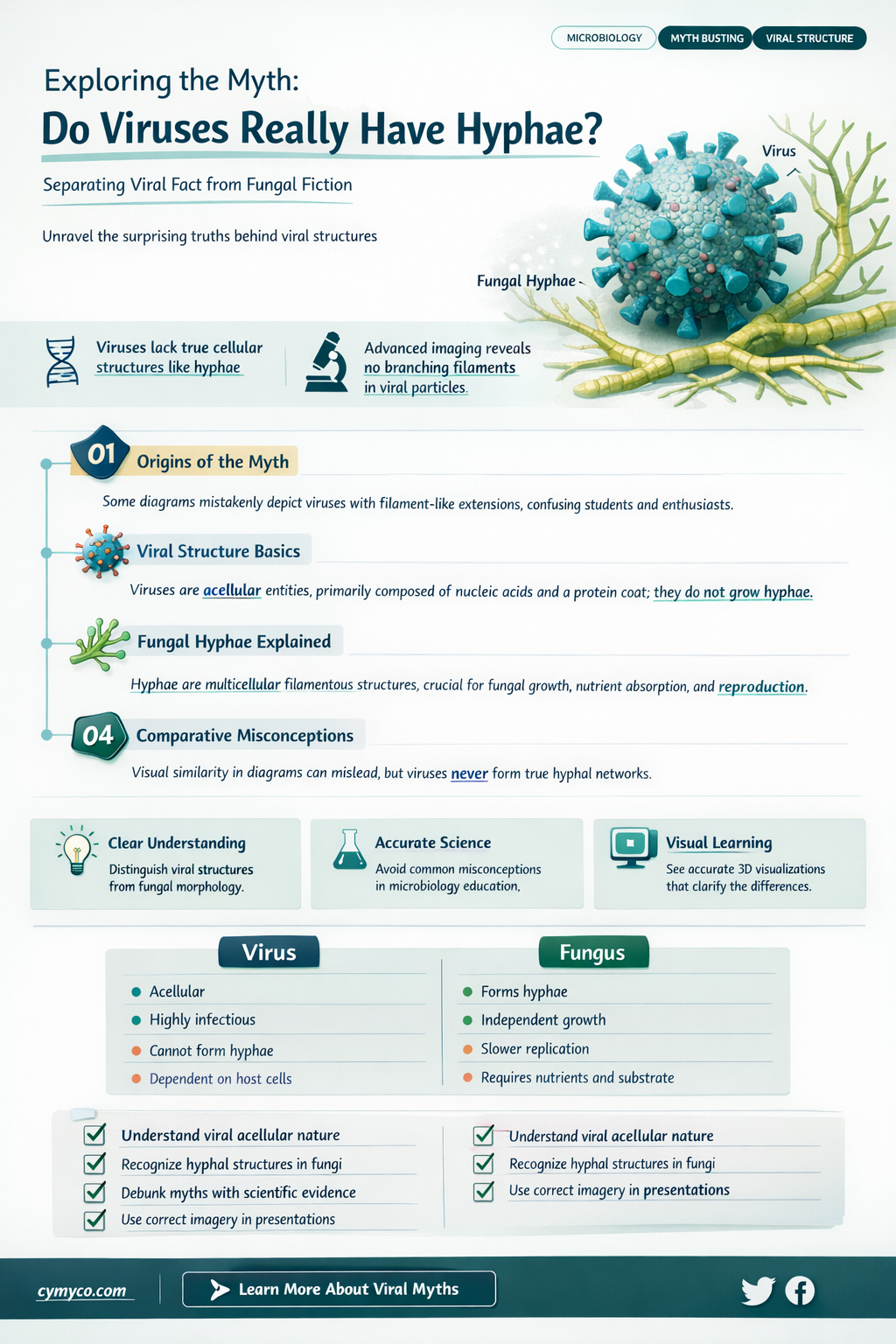 do virus have hyphae