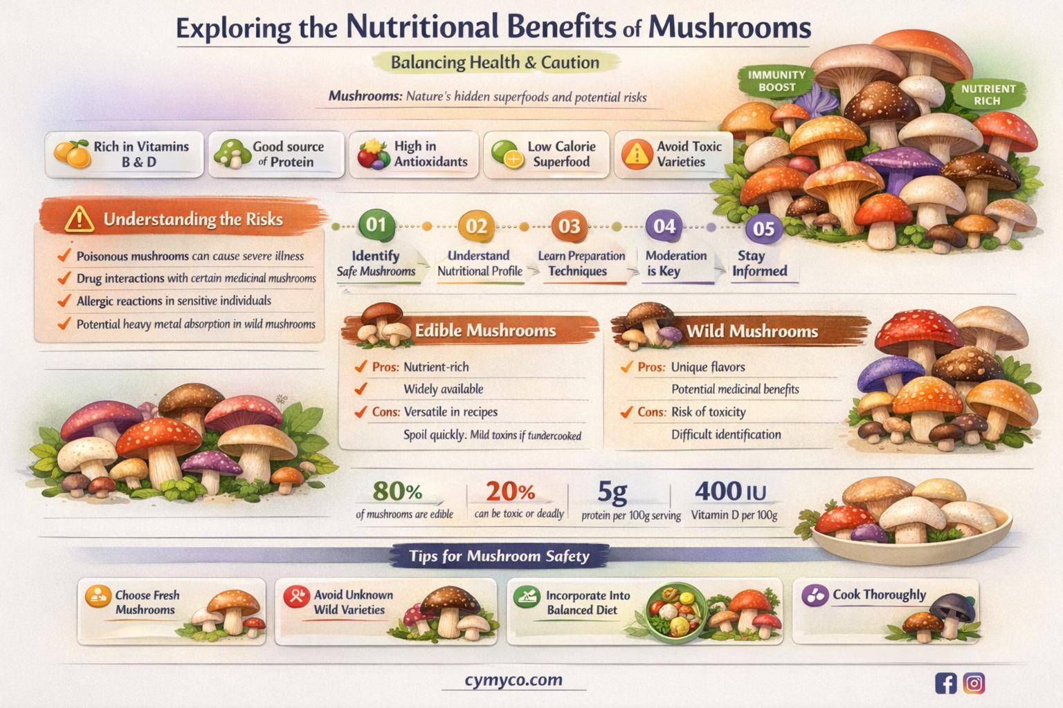 how healthy are mushrooms