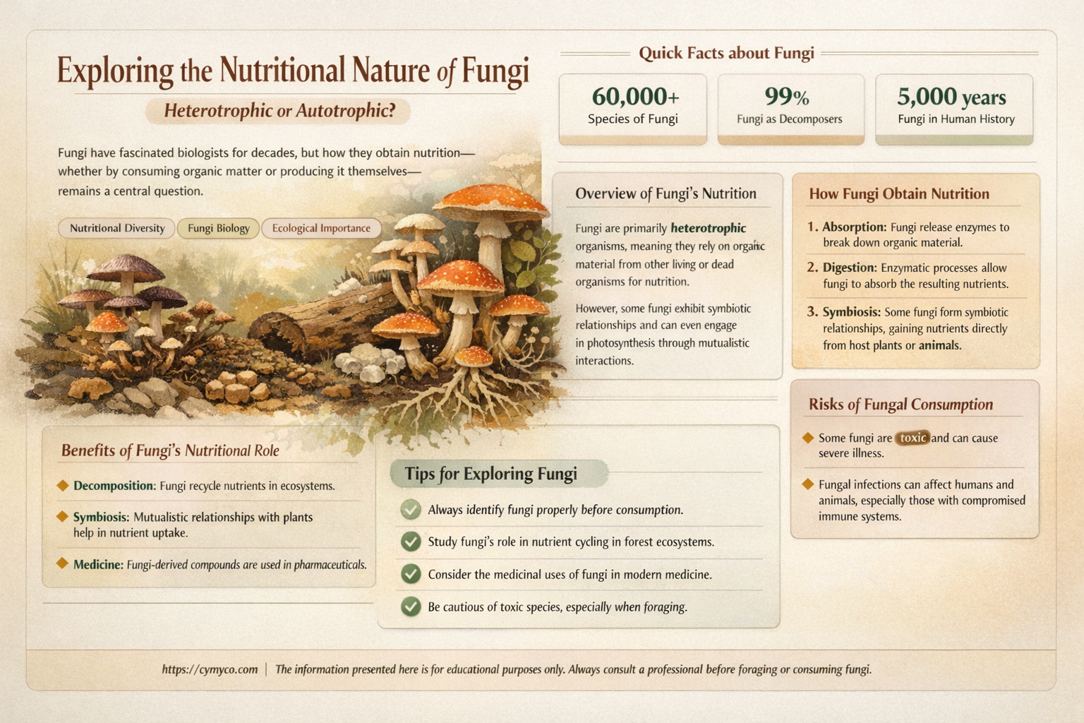 are fungi heterotrophic or autotrophic