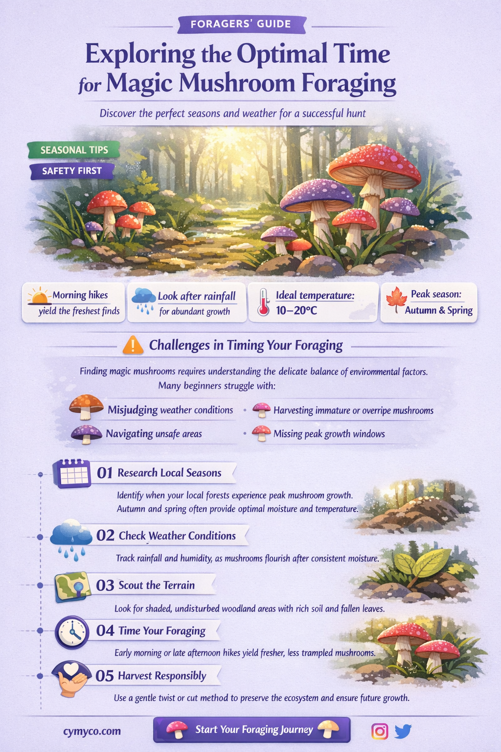 when is magic mushroom picking season