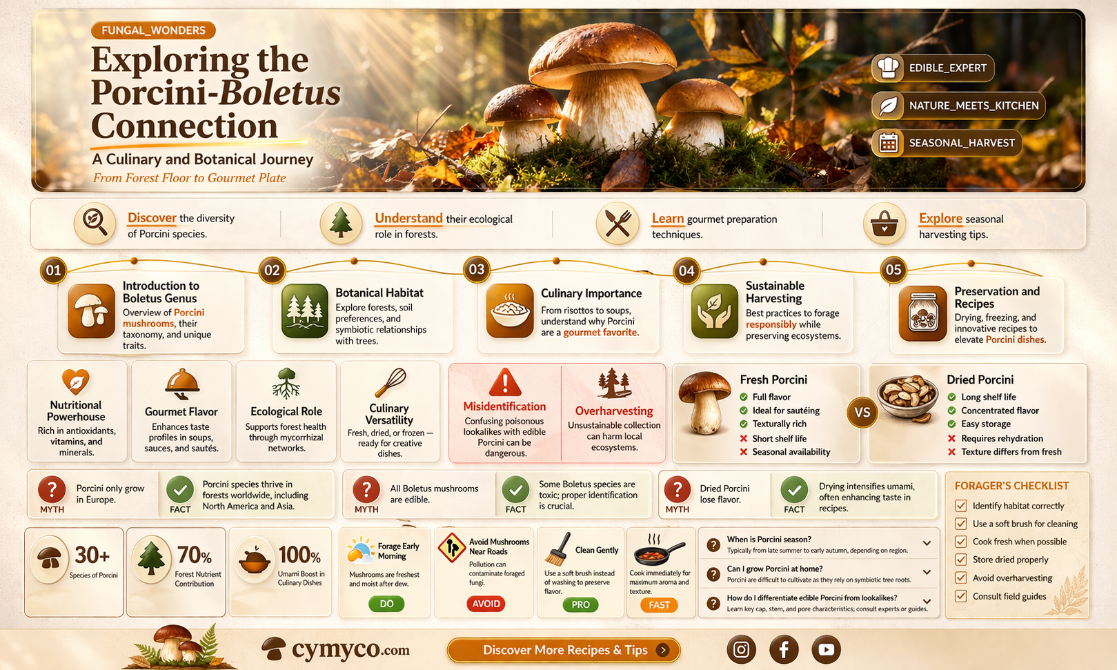 is porcini a boletus