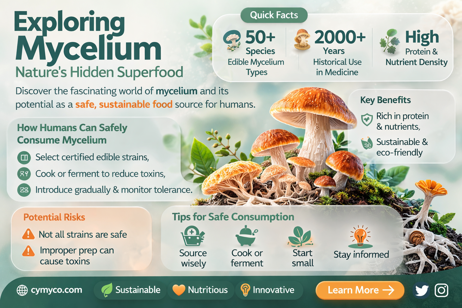 can humans get mycelium