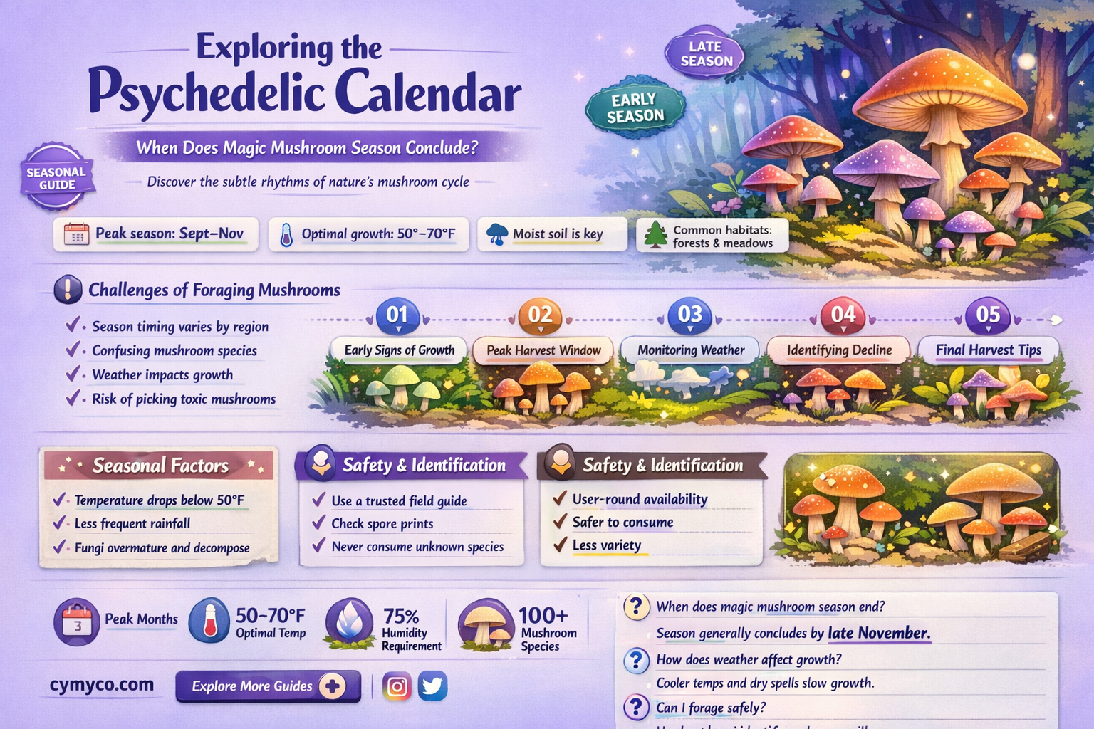 when does magic mushroom season end