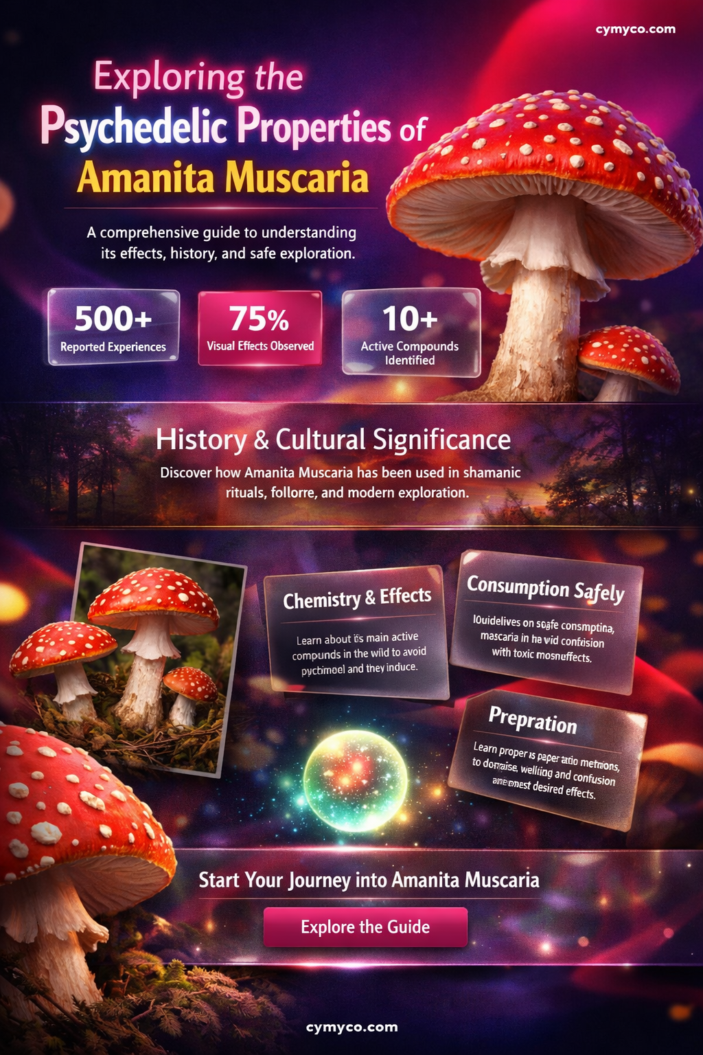 is amanita muscaria psychedelic