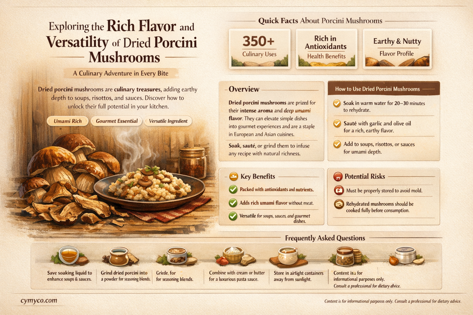 what are dried porcini mushrooms