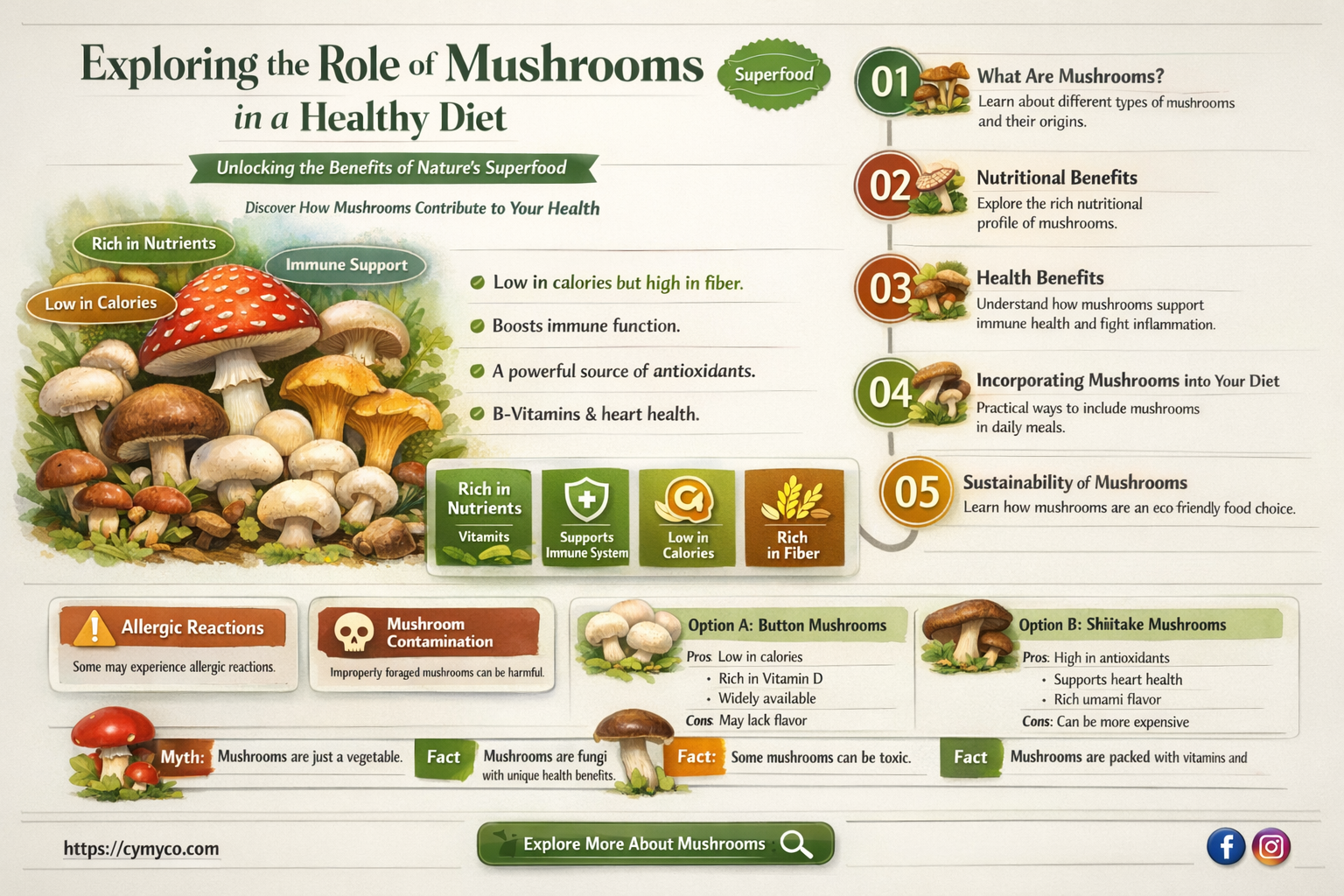 are mushrooms good for dieting
