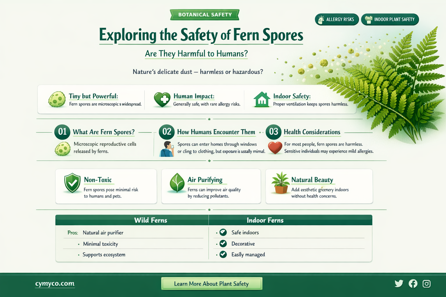are fern spores harmful to humans