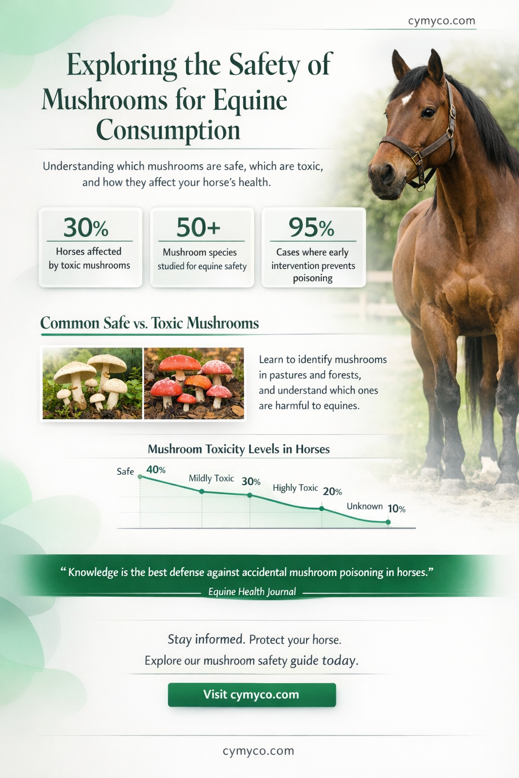 are mushrooms bad for horses