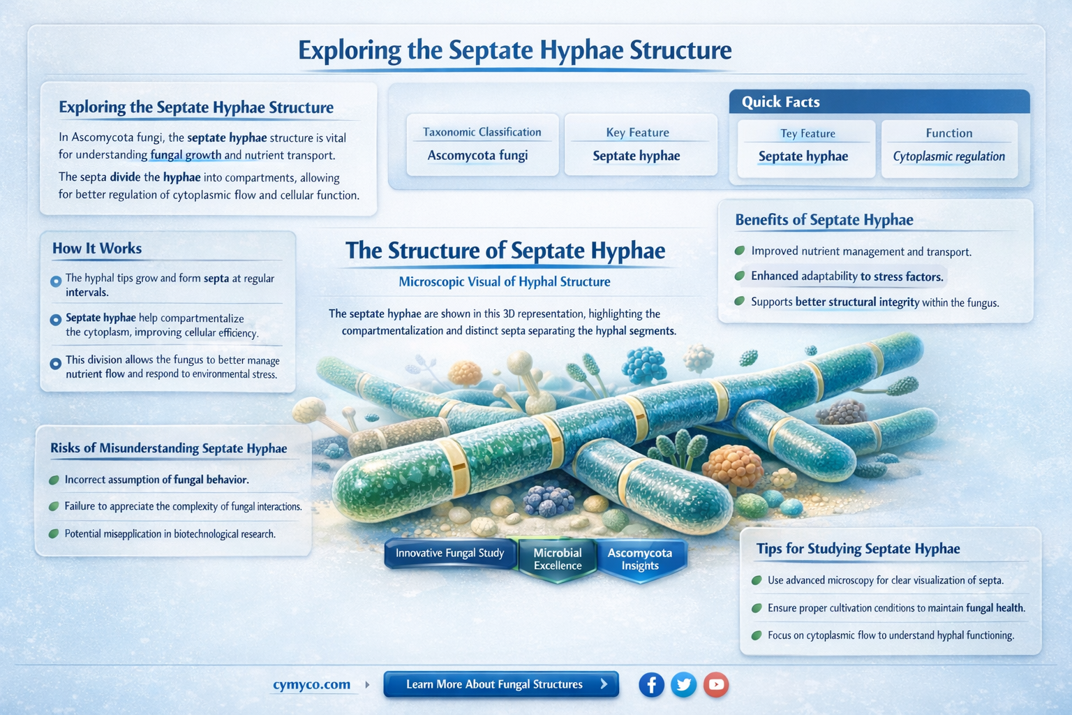 do ascomycota have septate hyphae