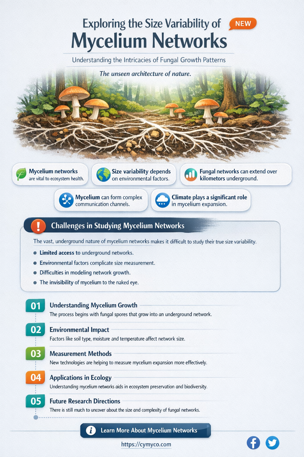 are mycelium always very large