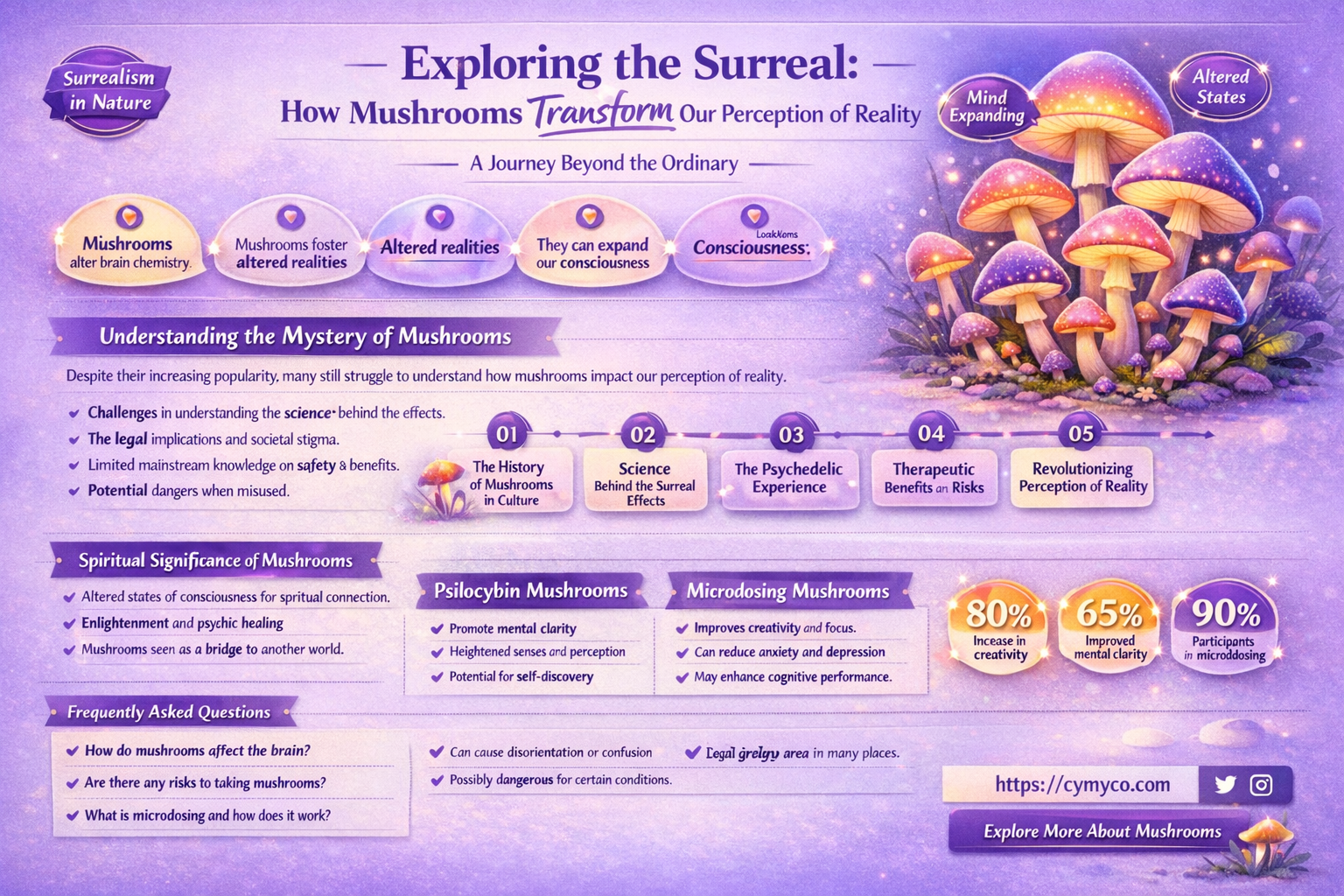 what the world looks like on mushrooms