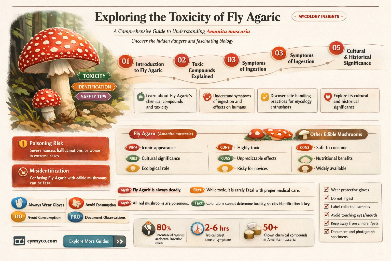 is fly agaric poisonous