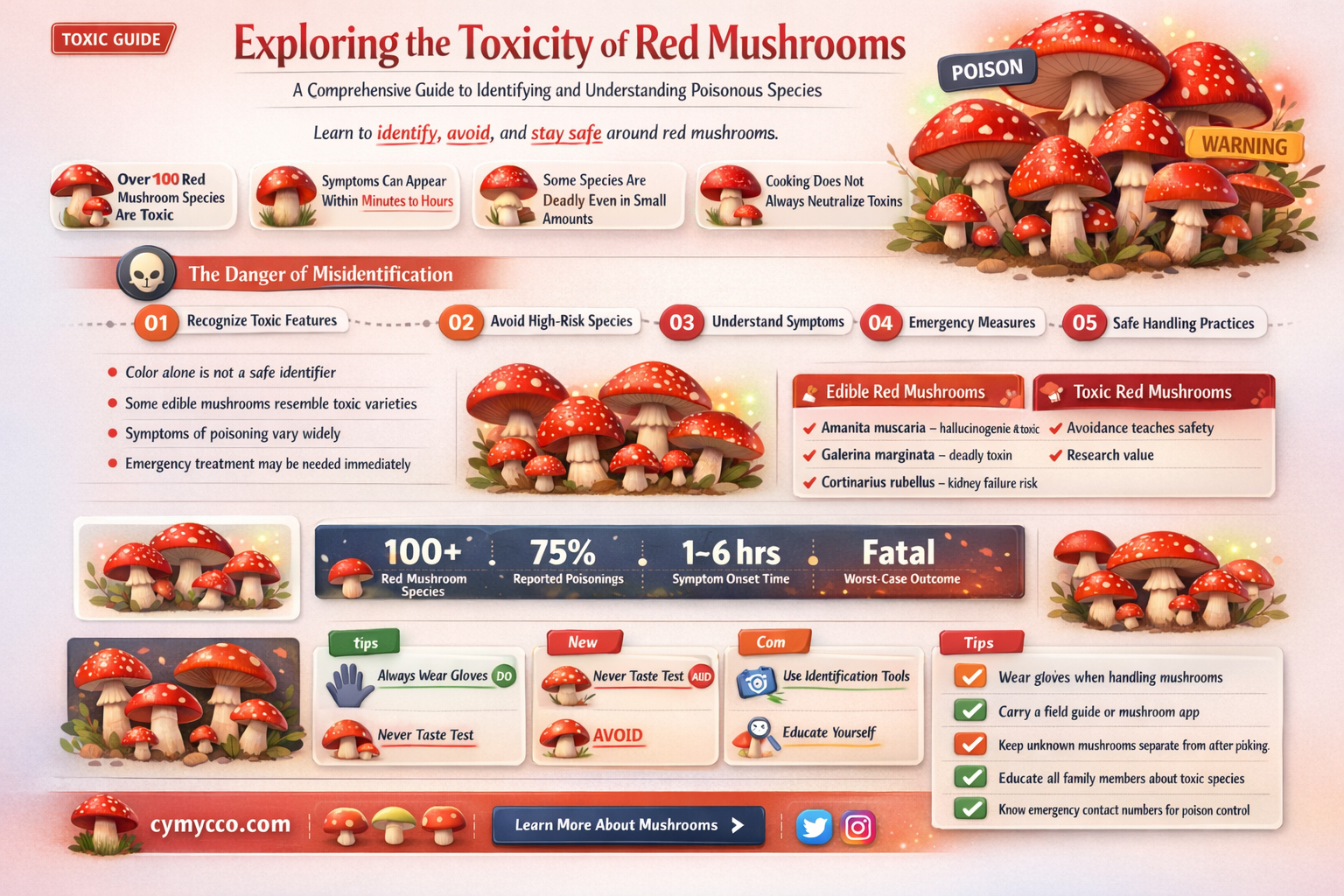 are red mushrooms poisonous