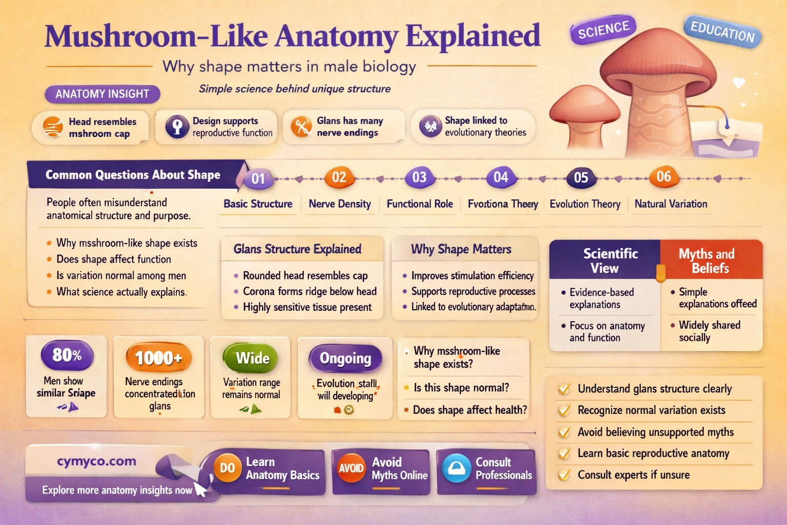 why are mens penis shapped like a mushroom