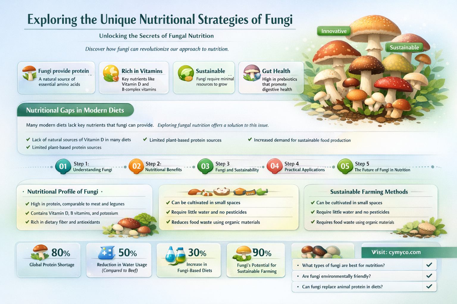 what is the mode of nutrition for fungi